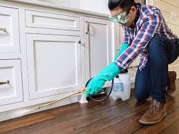 Best Residential Pest Control  in Cheviot, OH