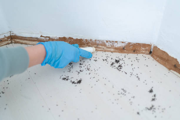 Best Pest Prevention Services  in Cheviot, OH